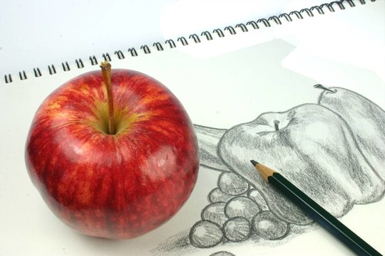 水果素描
