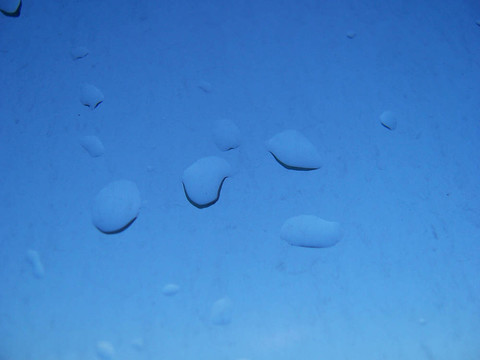 小雨滴001