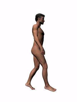解剖的男子步行6。