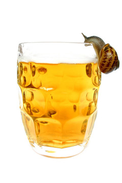 蝸牛喝啤酒