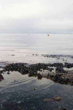 峽灣海岸