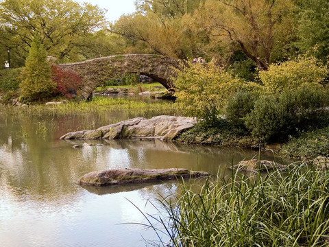 中央公園的池塘