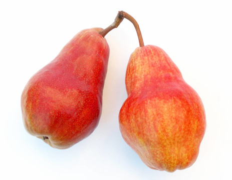 一對(duì)梨