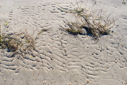 seasandbackground 1
