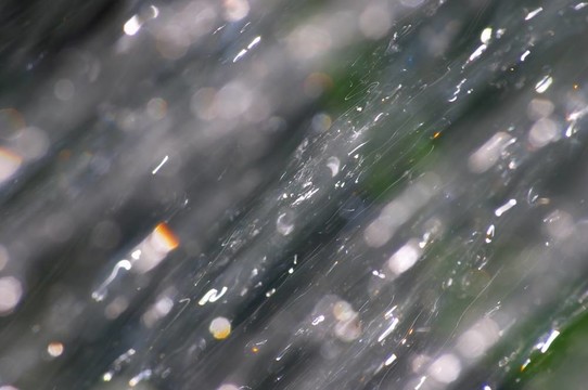 淋浴中捕獲的水