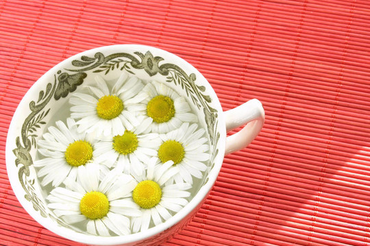草藥茶camomil