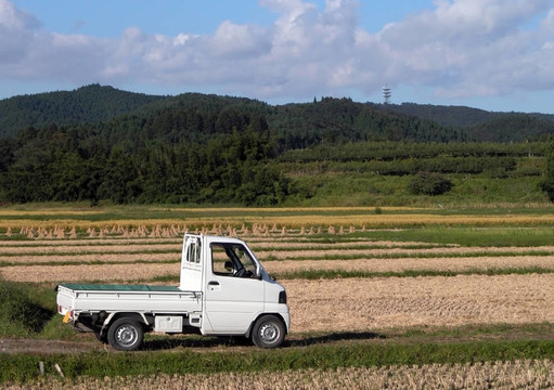卡車在現(xiàn)場