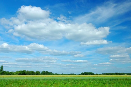 夏天的風(fēng)景