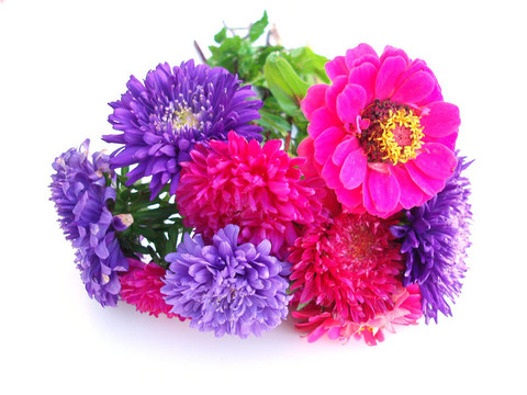 束菊花