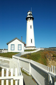 鴿子PT Lighthous之前