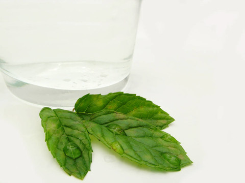 薄荷