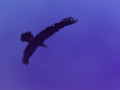 水鷹