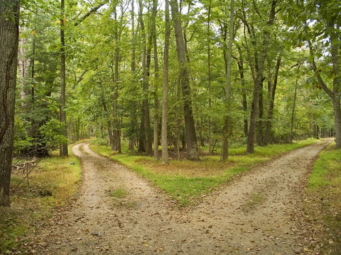 兩條路