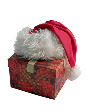 Santa帽子和禮物