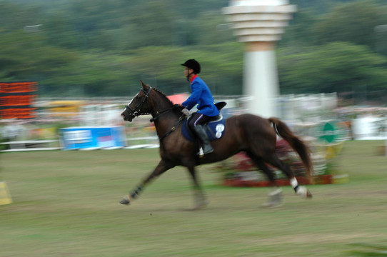 馬術(shù)