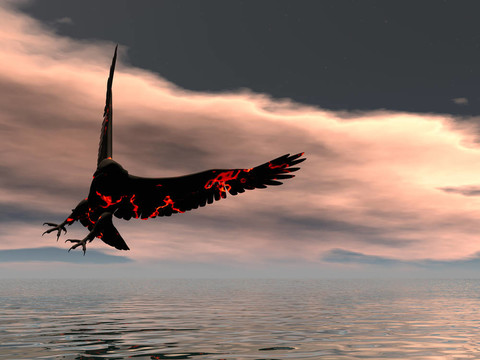 火鷹的轉(zhuǎn)折