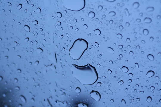 background03