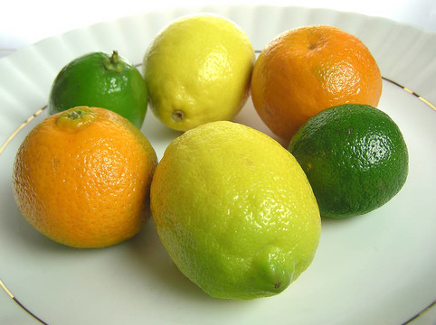 fruis板