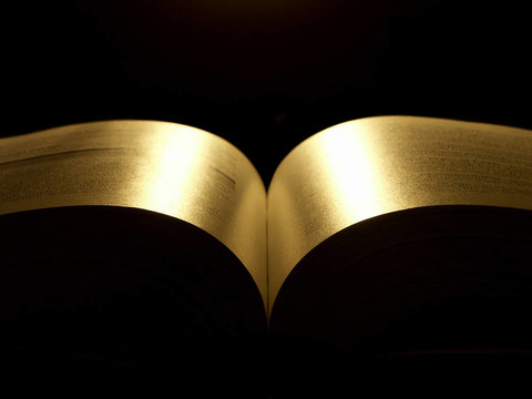 金書2