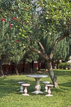 熱帶花園