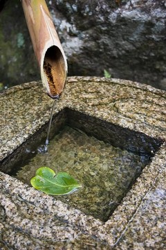 竹泉