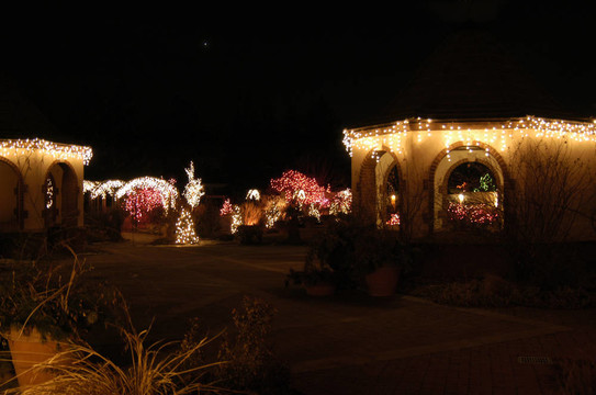 西南的圣誕節(jié)