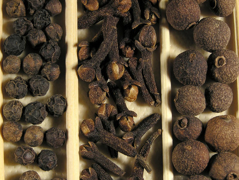 SPICE宏