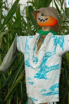 稻草人
