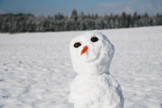雪人