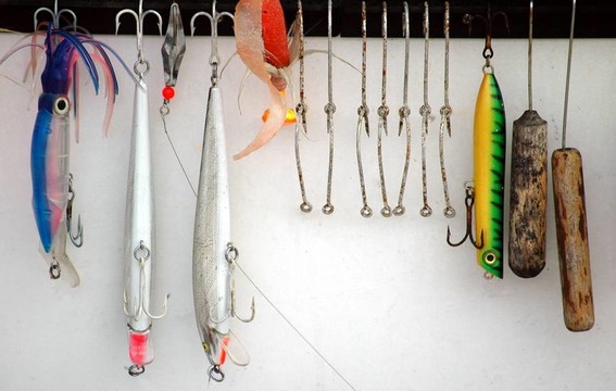 魚餌