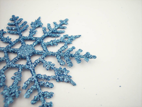 藍(lán)雪花5