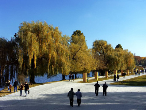 公園的長(zhǎng)廊