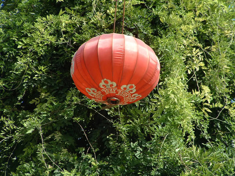 紅燈籠大戰(zhàn)格力