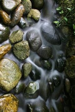 石頭上的圖案
