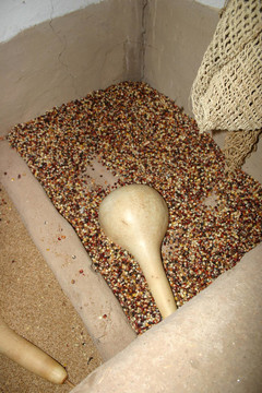 Rice和玉米貯藏