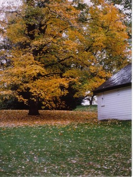 Autumm的時間