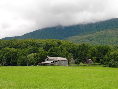 農(nóng)場場