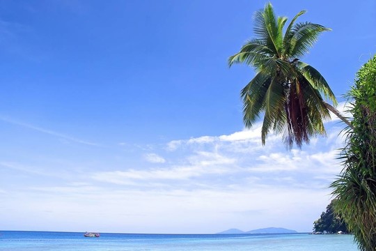 熱帶島嶼