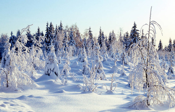 雪