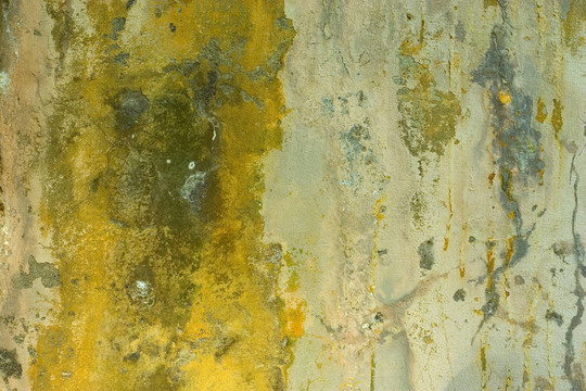 垃圾背景2