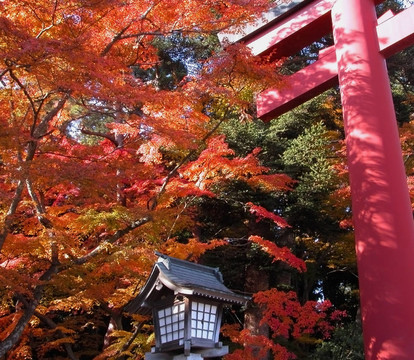 秋寺門