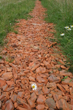 土路