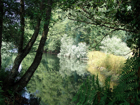 河