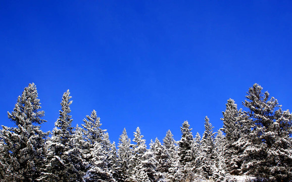 山上的雪