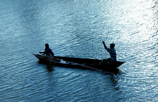在藍(lán)色的魚(yú)