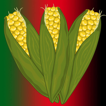 寬扎corn2