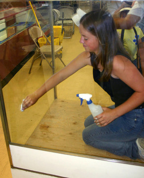 女孩Cleaning Glass