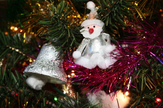 Santa和樹