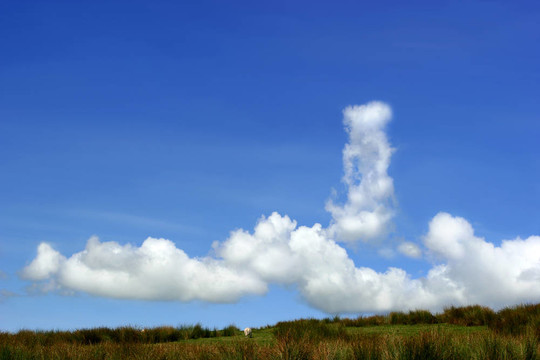 Low Level Clouds和蘆葦?shù)奶祀H線