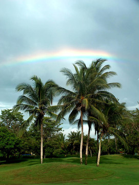 rainbow02